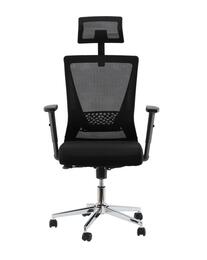 Ergonomická kancelárska stolička Liono s regulovateľnou opierkou hlavy