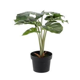 Umelá rastlina 42 cm - Dekorácia do interiéru