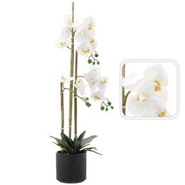Umelý kvet - biela orchidea 77 cm
