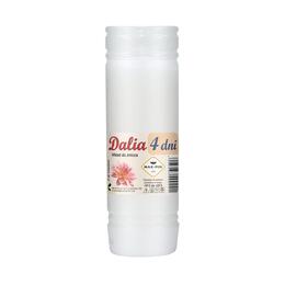 Sada 10 ks parafínových vložiek Dalia 18 cm
