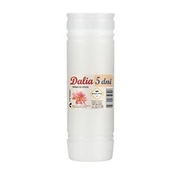 Sada 10 ks parafínových náplní Dalia 19 cm / 120 hodín