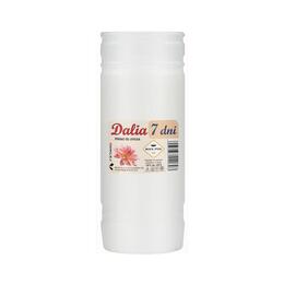 Sada 10 ks parafínových vložiek Dalia 19 cm