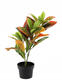 Umelá rastlina Fikus 58 cm