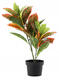 Umelá rastlina Fikus 58 cm