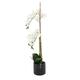 Umelý kvet - biela orchidea 77 cm