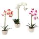 Umelý kvet - Orchidea mix 3 farby, 43 cm