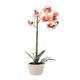 Umelý kvet - Orchidea mix 3 farby, 43 cm