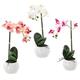 Umelý kvet - Orchidea mix 3 farby 42 cm