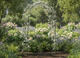 Elegantná záhradná pergola s kotvami 114 x 37 x 230 cm
